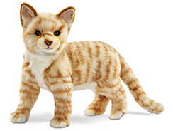 Cat Soft Toys & Gifts